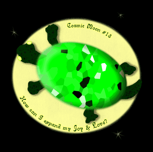 turtle
