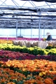 Clearwater Nursery